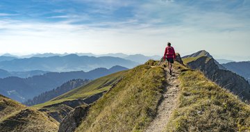 Devotional: Where can you find wisdom?