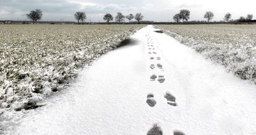 Book review: The Joy of Following Jesus