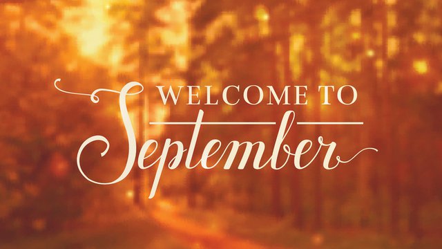 Mobile Payments Today: September's top reads