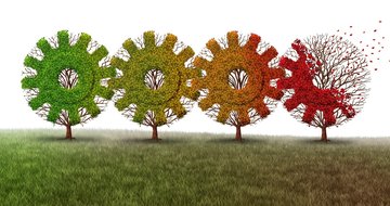 Finding peace and power in seasons of transition