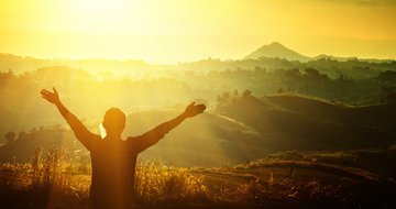 What is “Wild Church” and where is it going?