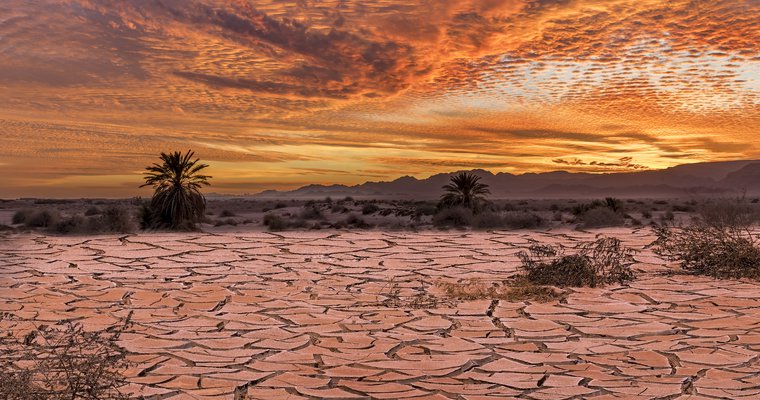 Two biblical strategies for overcoming 2020