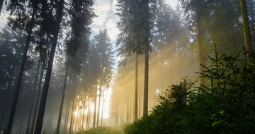 What is God planning for your next season?