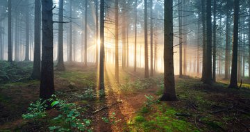 Recovering the good in seasons of lament