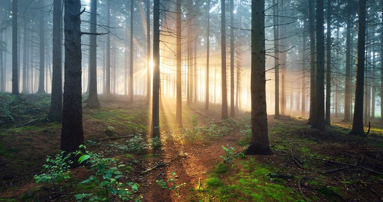 Recovering the good in seasons of lament
