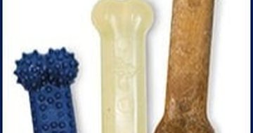 Petco offers 30% discount in Hanukkah celebration