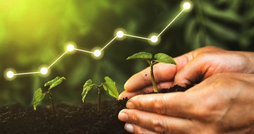 7 steps to protect your culture while you grow