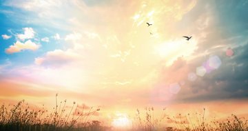Knowing God as your provider