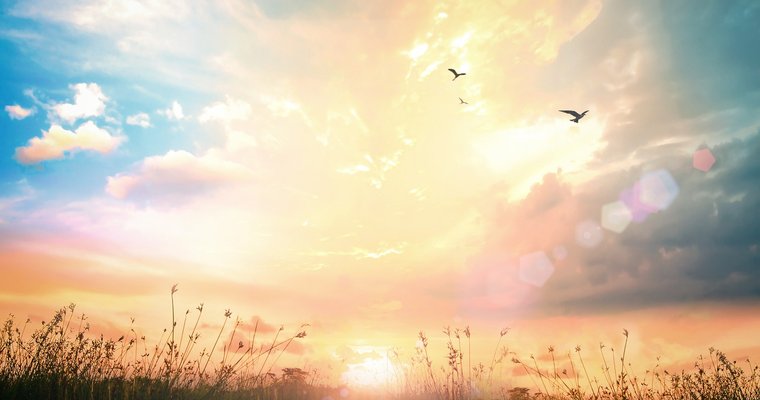 Knowing God as your provider