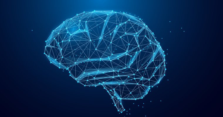 How a leader’s brain works to organize and operate