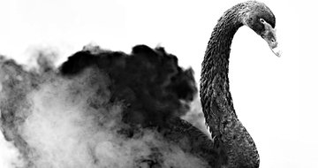 Book review: The Black Swan Effect — A Response to Gender Hierarchy in the Church