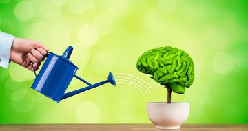 How your brain impacts leadership