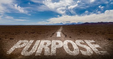 Discovering purpose this year