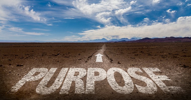 Discovering purpose this year