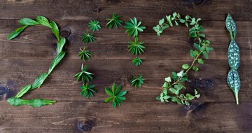 5 reasons to have hope in 2021
