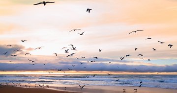 7 ways to experience personal renewal