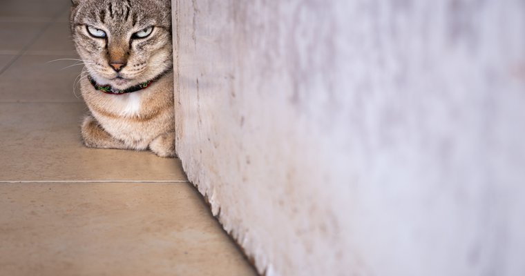 How to avoid the copy-cat leadership trap