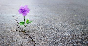 Finding hope in difficult seasons
