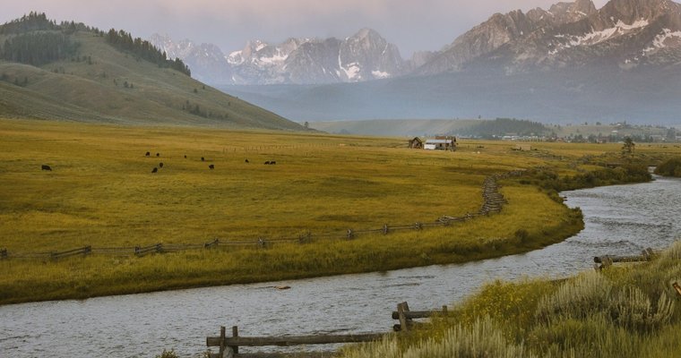 Taco Bell, Cargill, National Fish and Wildlife Foundation offer grants to restore grasslands - Vimarsana News