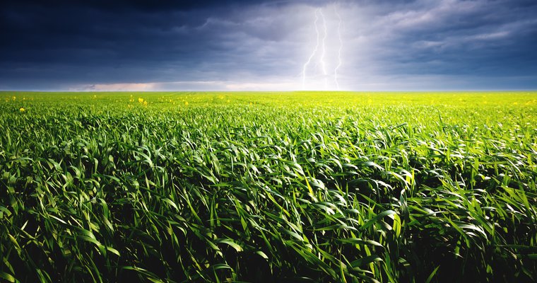 In the storm