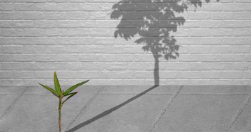 3 reasons your organization isn't growing