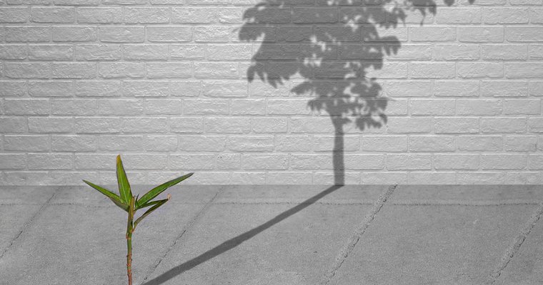 3 reasons your organization isn't growing