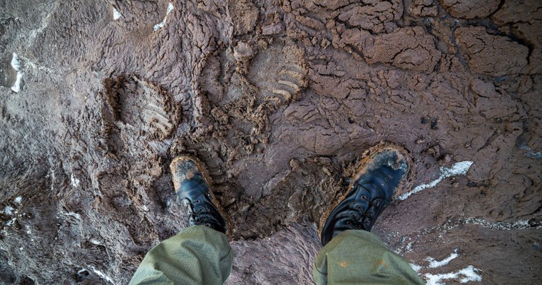 The mindset shift you didn't know you needed