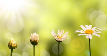 4 ways to move your team from languishing to thriving