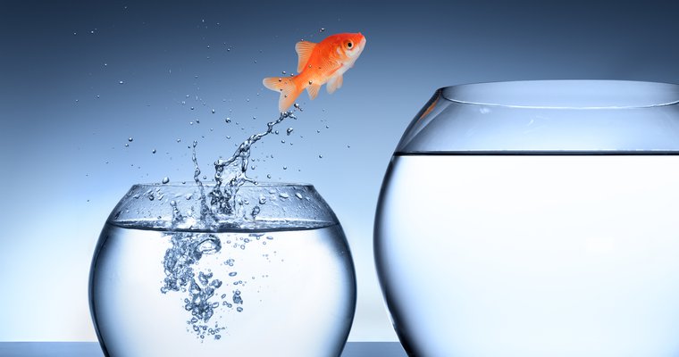 Courage: essential for turnaround leaders