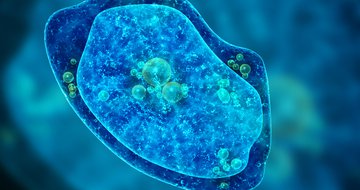 View your organization as a blob