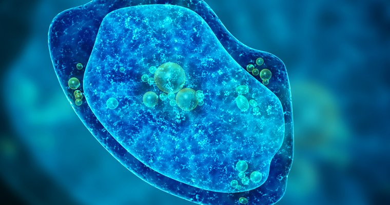 View your organization as a blob