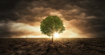 How to move from ‘hope’ to confidence during turbulent times
