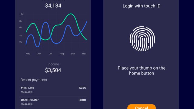 Biometrics: Are they becoming the nirvana of personal security?