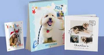 PetSmart to offer Mixbook specials, discounts to loyalty members
