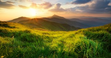 Is your dream dead? Resurrection may be in store