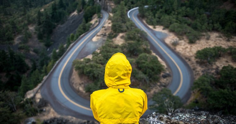 Which way do you turn for wisdom?