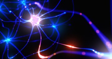 6 ways leaders can keep their brains sharp