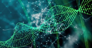 The DNA difference—church plant versus multisite