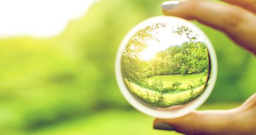 The key to seeing everything with more clarity