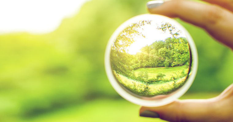 The key to seeing everything with more clarity