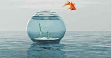 Why culture is so powerful and how to shape it
